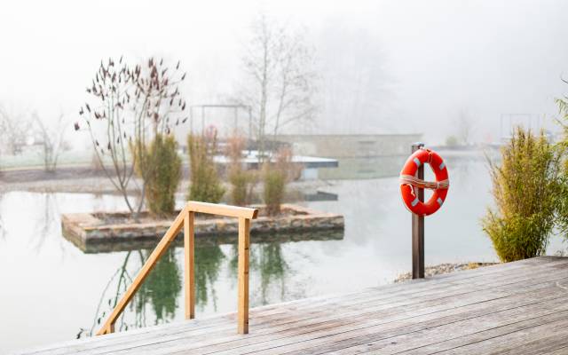 Zugang zum Schwimmteich im Nebel Pfalzblick Wald spa Resort