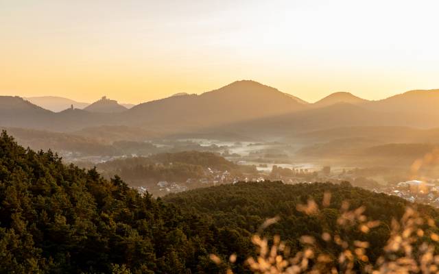 Tolle Ausflugsziele - PFALZBLICK WALD SPA RESORT