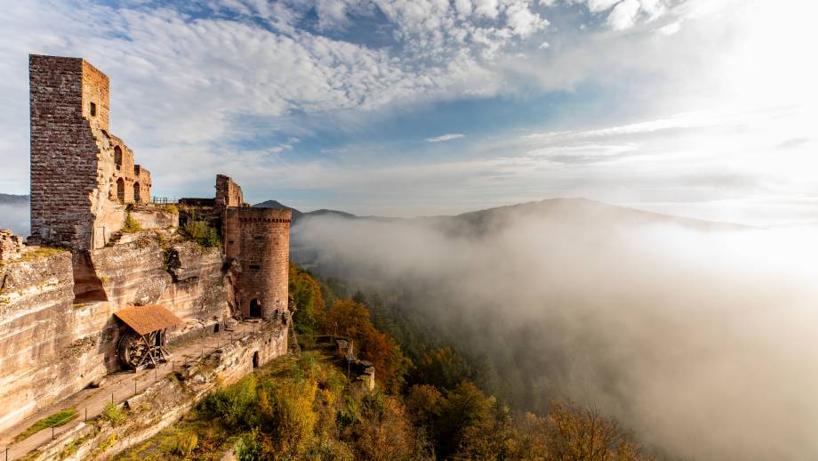 Entdecken Sie das Dahner Felsenland und das nahe Elsass Symbolfoto