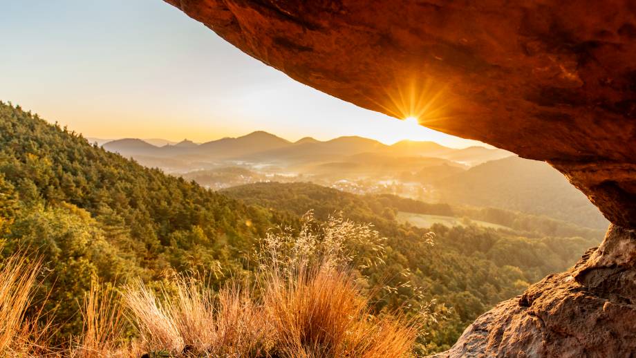 Die Pfalzblick Wanderwochen: Entdecken und Entspannen Symbolfoto