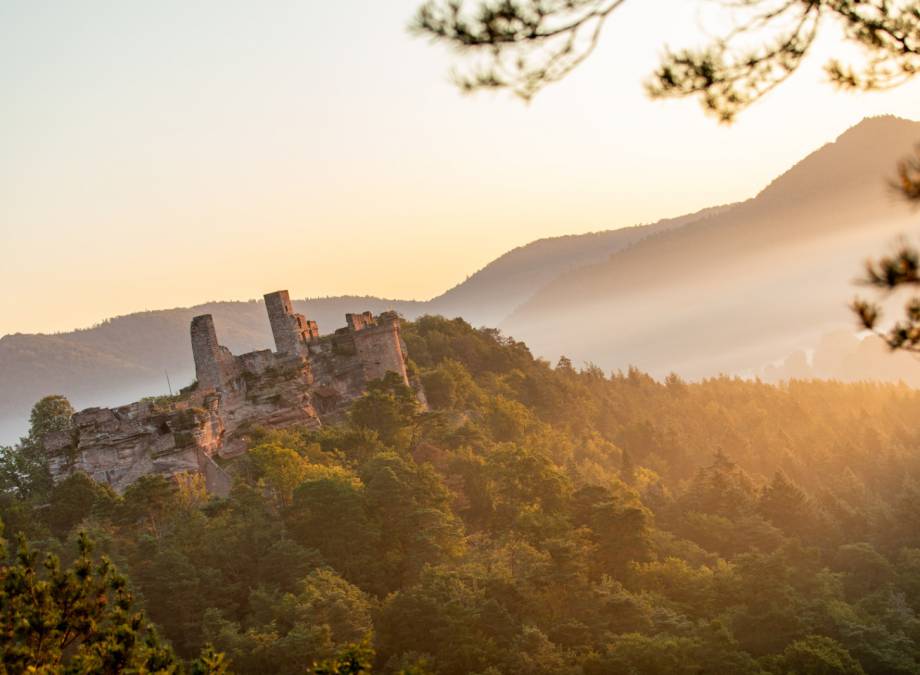 Entdecken Sie das Dahner Felsenland und das nahe Elsass Symbolfoto