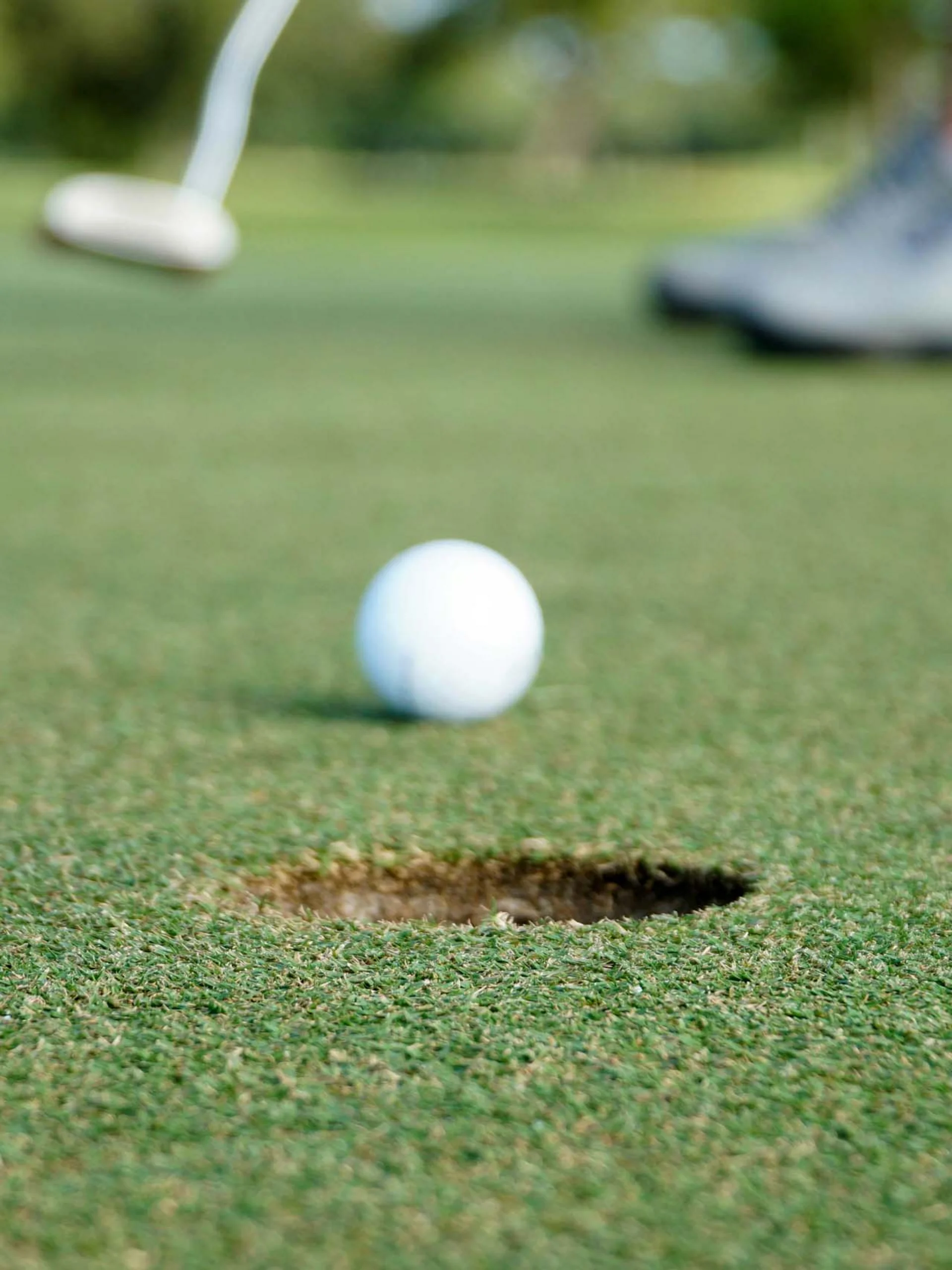 Pfalzblick: your nature hotel in Rhineland-Palatinate Golf ball near hole on putting green with blurred golfer in background