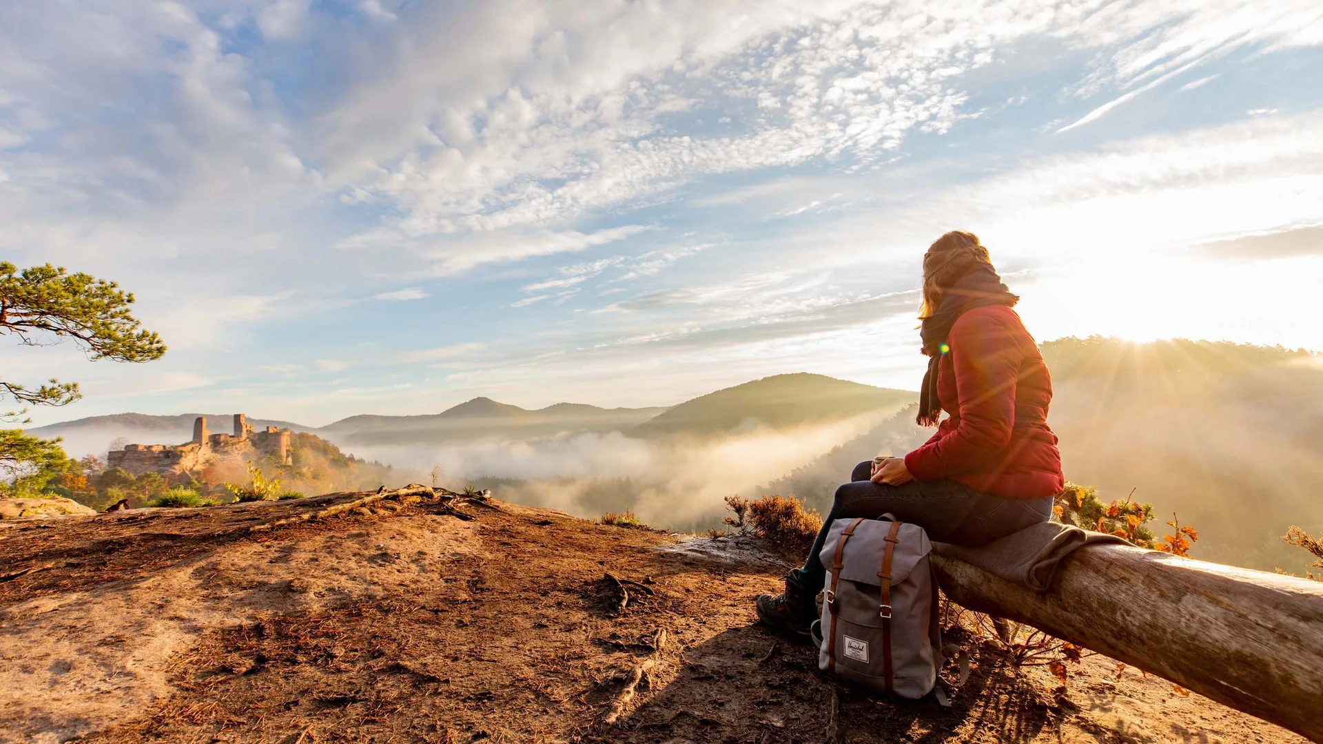 Ihr Hotel im Dahner Felsenland: Pfalzblick Wald Spa Resort Frau sitzt auf Baumstamm und genießt Sonnenaufgang über Nebel und Bergen