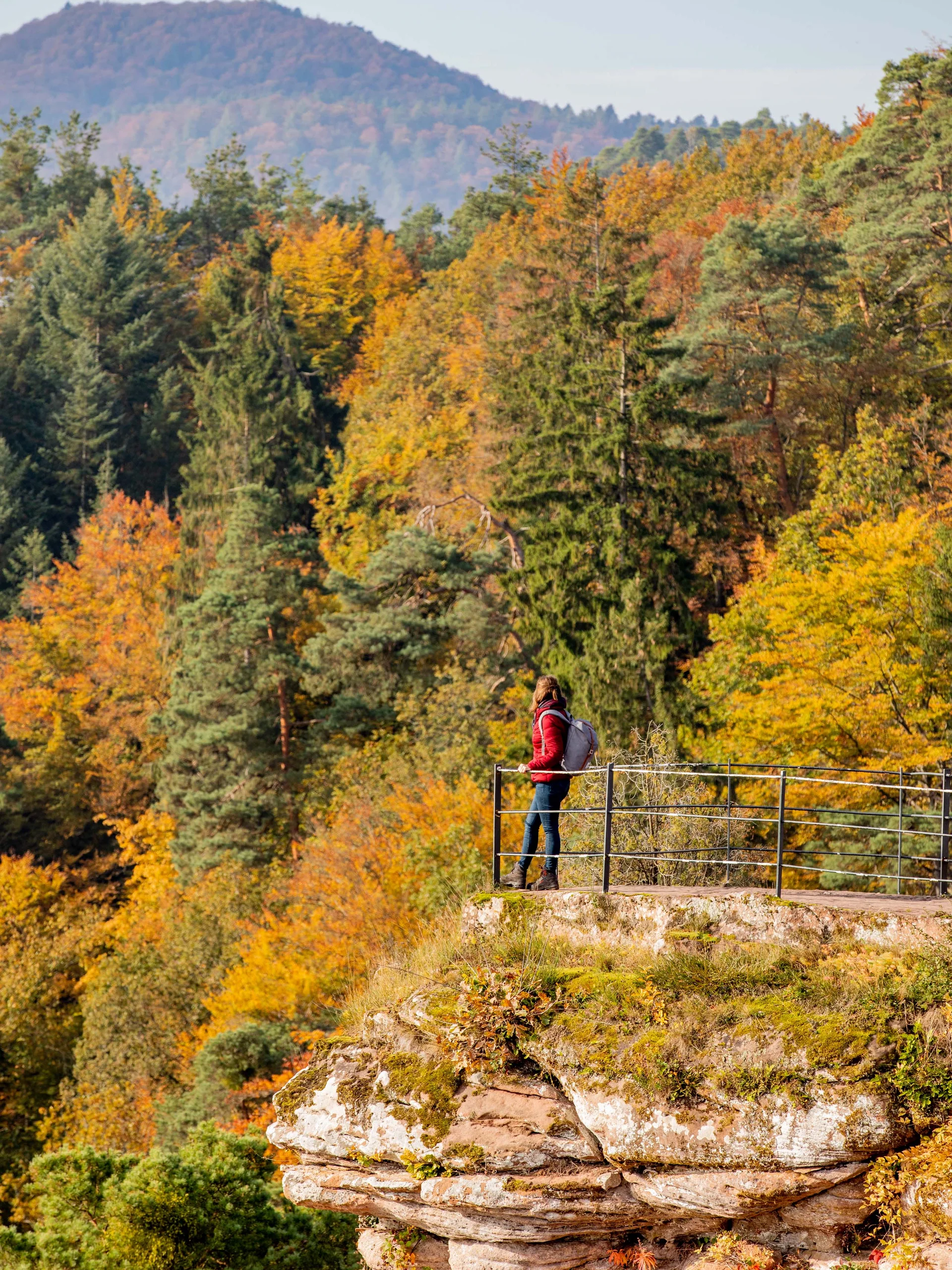 Pfalzblick: your nature hotel in Rhineland-Palatinate Hiker standing on rock ledge overlooking autumn forest and distant hills