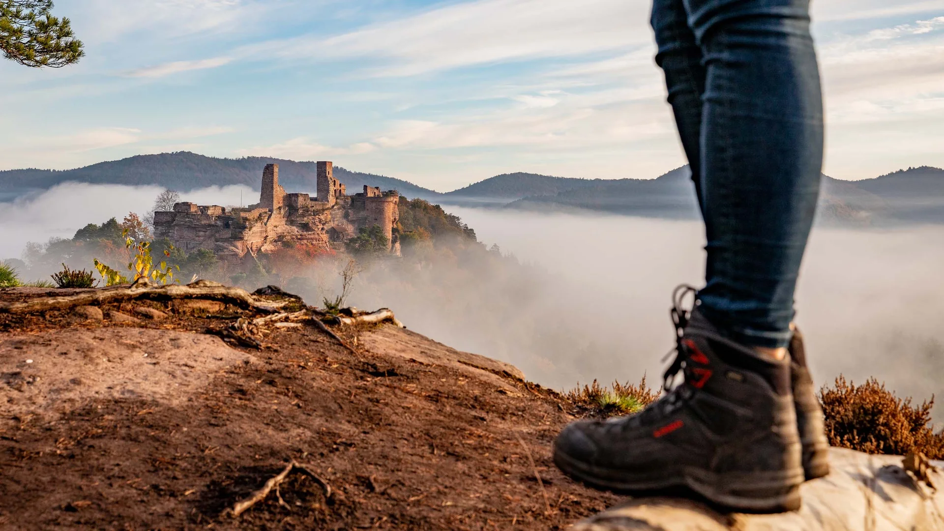 Châteaux au Dahner Felsenland Randonneur debout regardant un château entouré de brouillard et de montagnes
