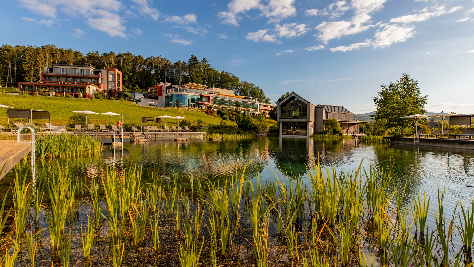Ihr Hotel im Dahner Felsenland: Pfalzblick Wald Spa Resort Moderne Gebäude an einem natürlichen Schwimmteich mit Gräsern und Sonnenschirmen