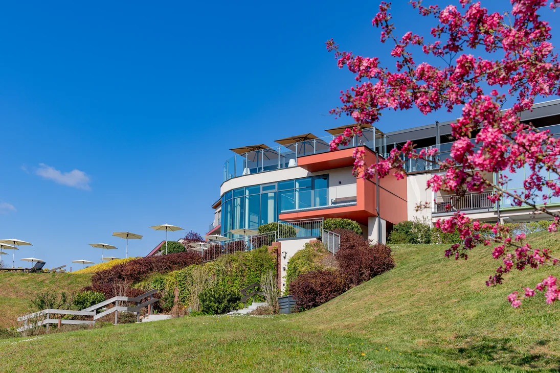 Ihr Hotel im Dahner Felsenland: Pfalzblick Wald Spa Resort Modernes Gebäude auf leichtem Hügel mit Sonnenschirmen und blühendem Baum