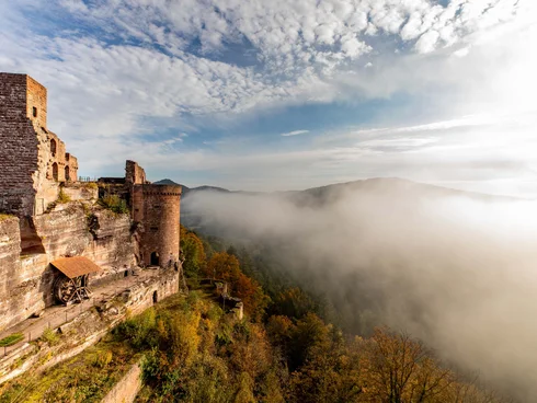 Blog – Neuigkeiten aus dem Pfalzblick Wald Spa Resort Burg auf felsigem Hügel mit Nebel und bewaldeten Hügeln im Hintergrund